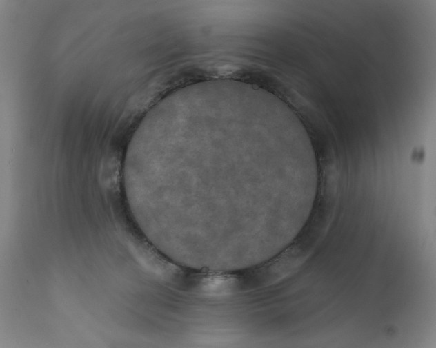 X0000112020274200908241522