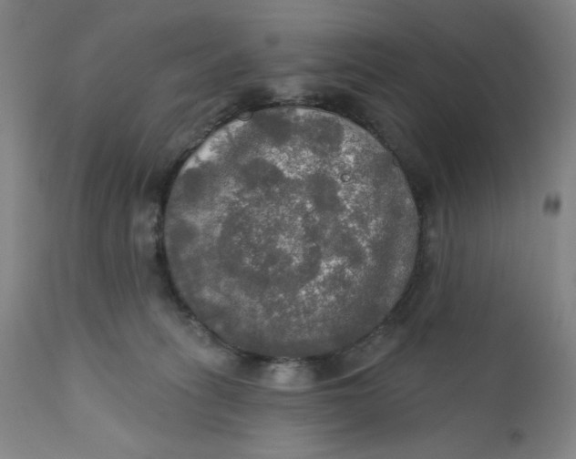 X0000112020275200908241522