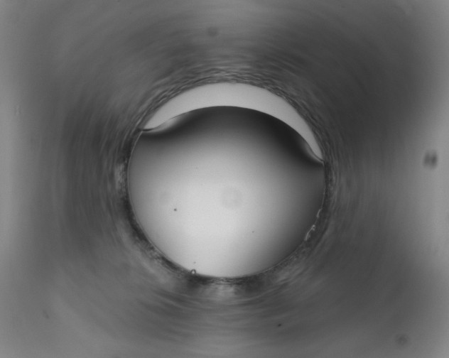 X0000112020276200908241522