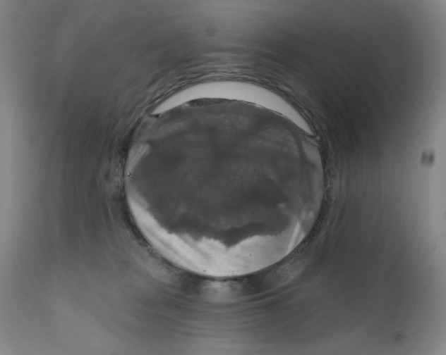 X0000112020277200908241522