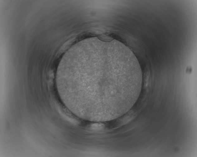 X0000112020279200908241522