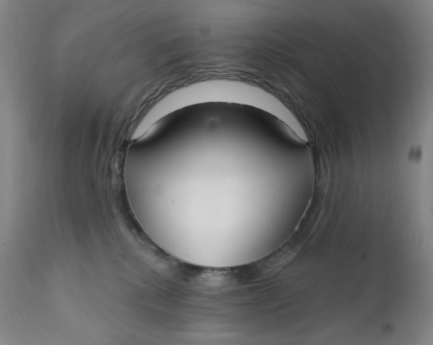 X0000112020280200908241522