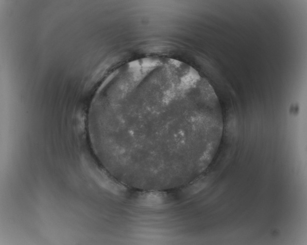 X0000112020282200908241522