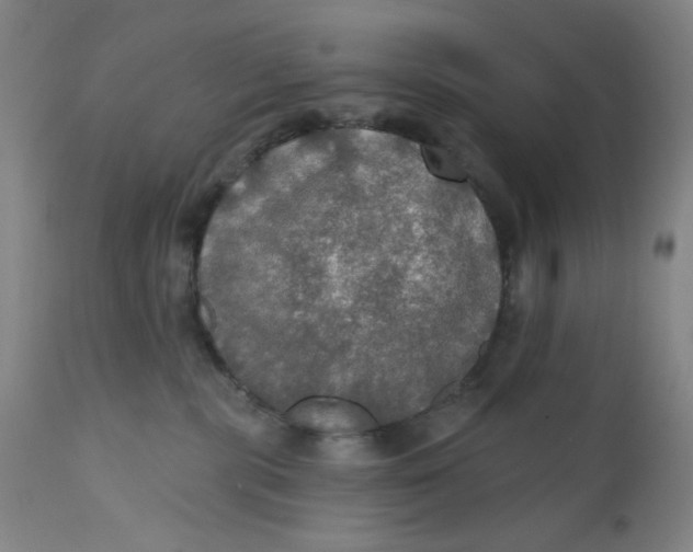 X0000112020283200908241522