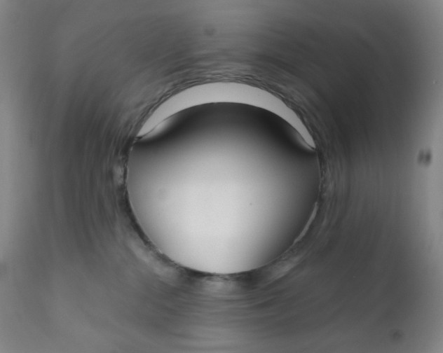 X0000112020284200908241522