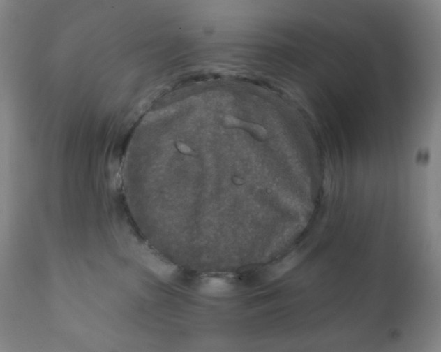 X0000112020285200908241522