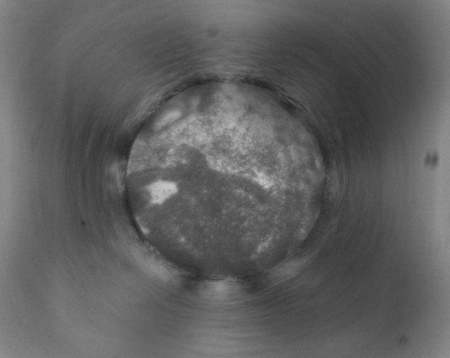 X0000112020286200908241522