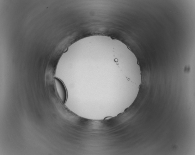 X0000112020287200908241522