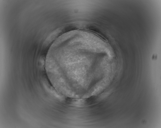 X0000112020288200908241522