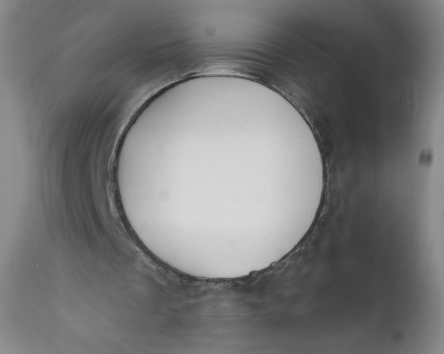 X0000112020289200908241521