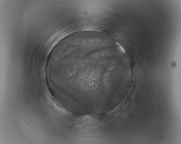 X0000112020290200908241521