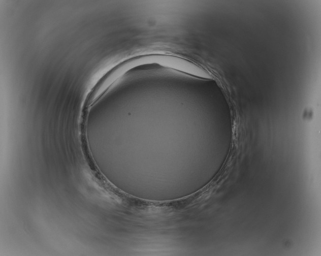 X0000112020292200908241521