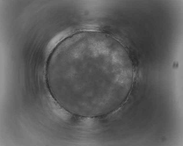 X0000112020293200908241521