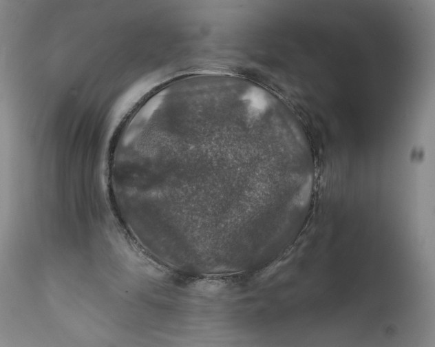 X0000112020294200908241521