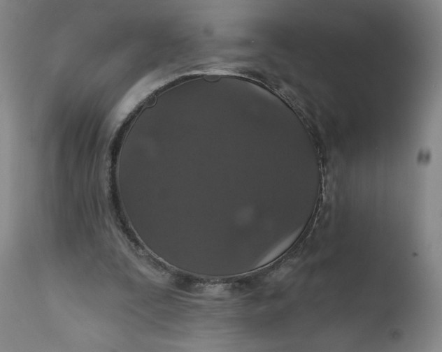 X0000112020295200908241521