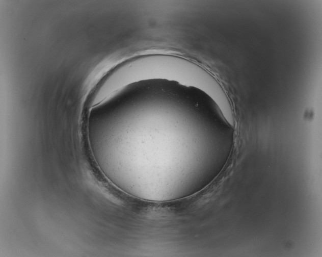 X0000112020296200908241521