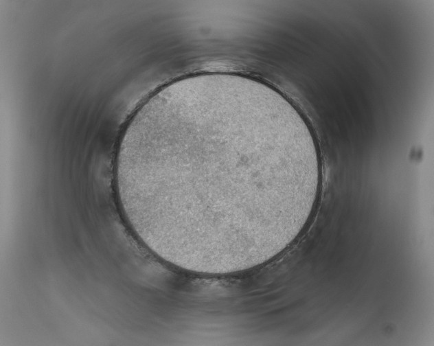 X0000112020297200908241521