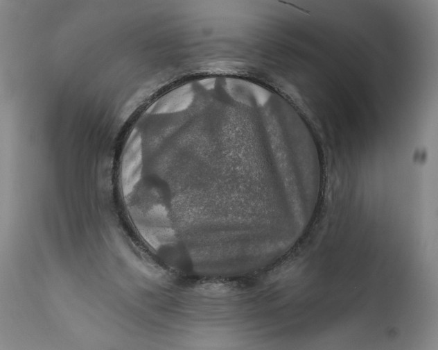 X0000112020299200908241521