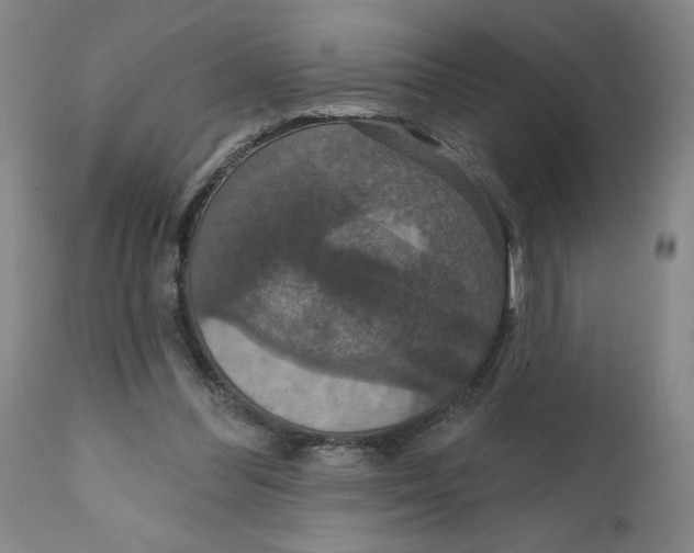 X0000112020300200908241521