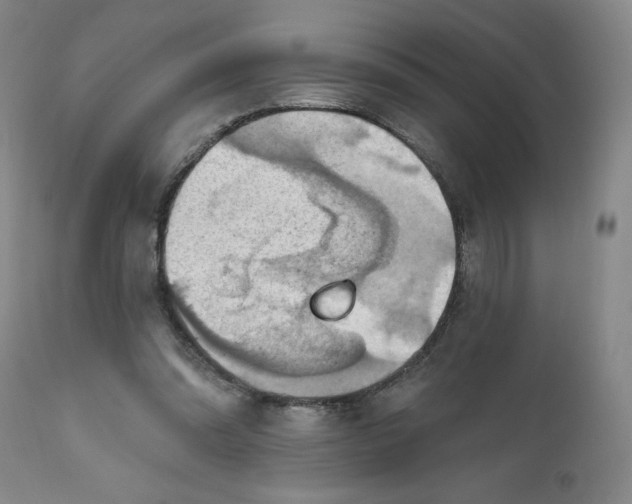 X0000112020302200908241521