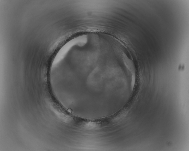 X0000112020303200908241521