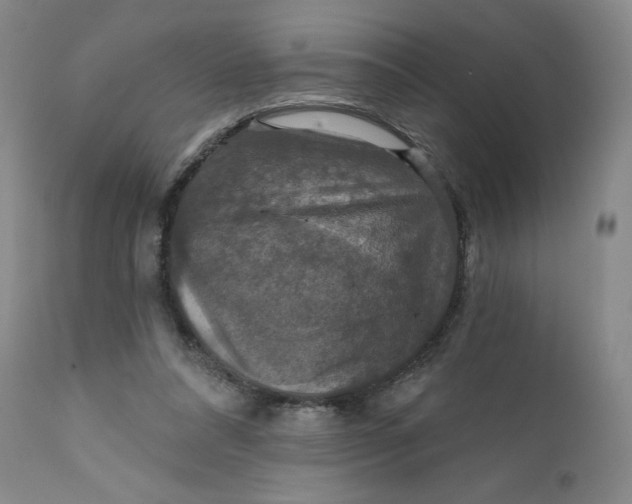 X0000112020304200908241521