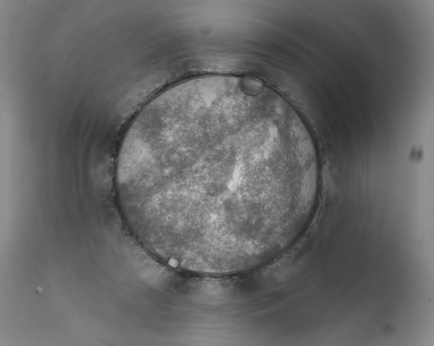 X0000112020305200908241521