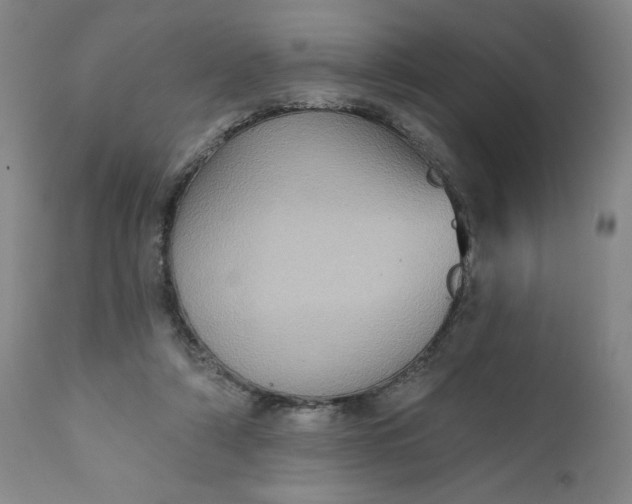 X0000112020306200908241521