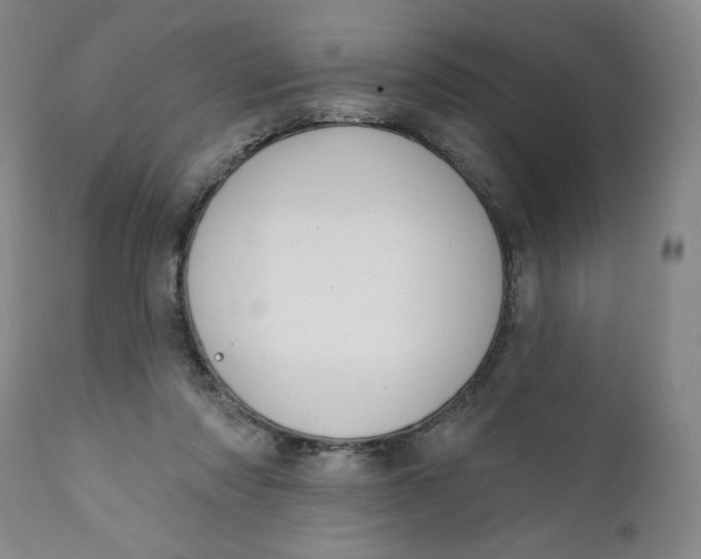 X0000112020310200908241521