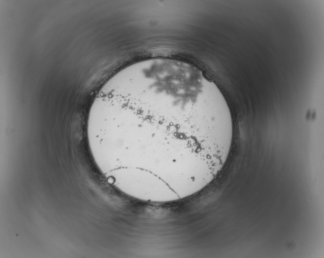 X0000112020311200908241521