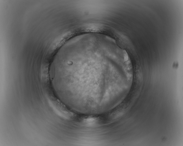 X0000112020312200908241521