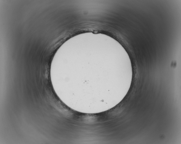 X0000112020313200908241521