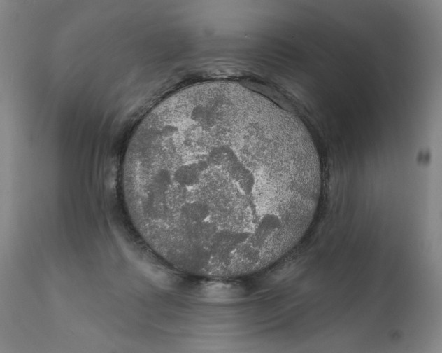 X0000112020315200908241521