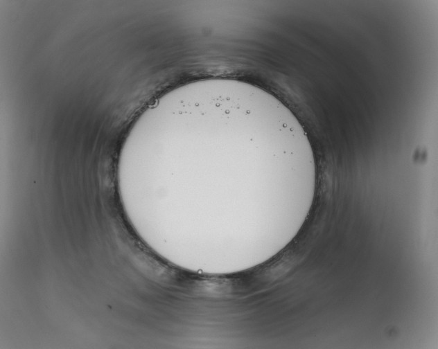 X0000112020317200908241521