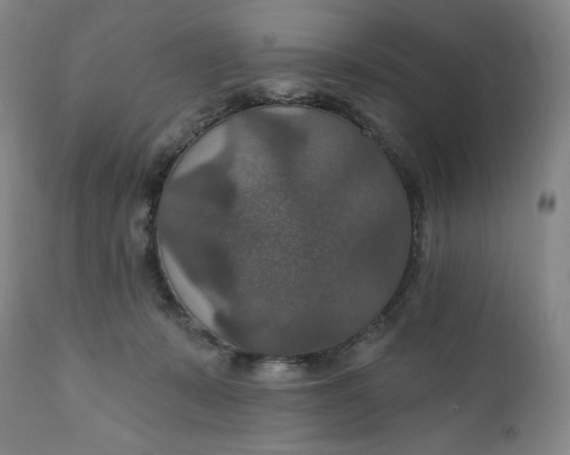 X0000112020319200908241521