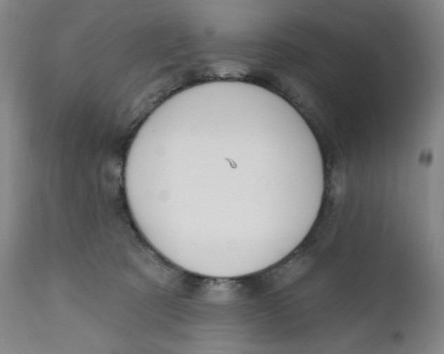 X0000112020321200908241521