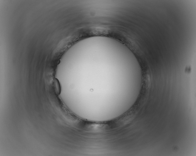 X0000112020323200908241521