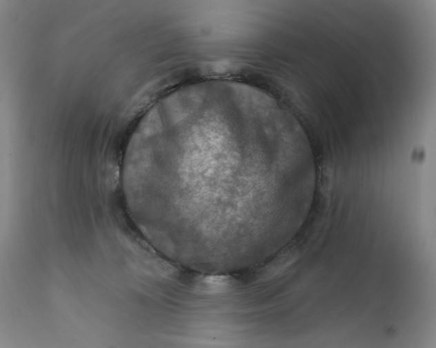 X0000112020324200908241521