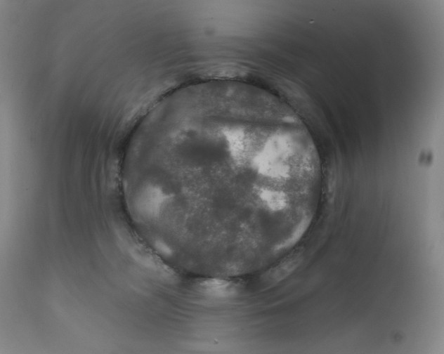 X0000112020326200908241521