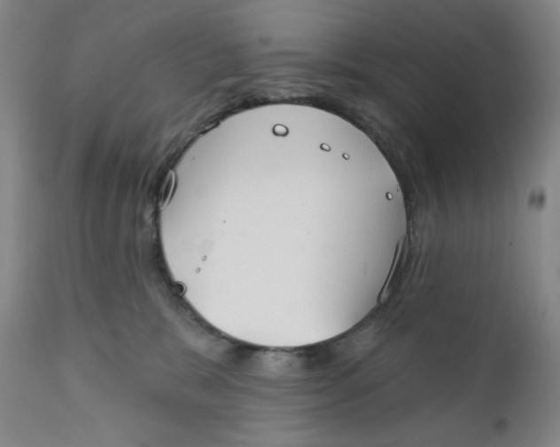 X0000112020327200908241521