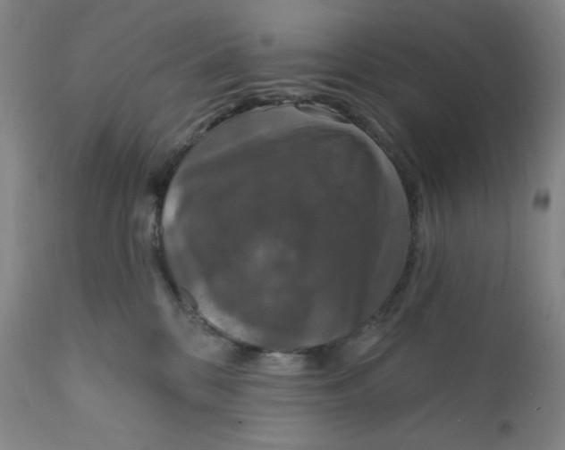 X0000112020328200908241521