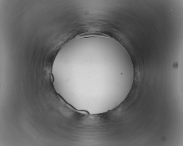 X0000112020329200908241521