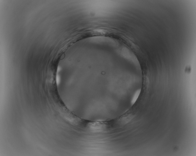 X0000112020331200908241521