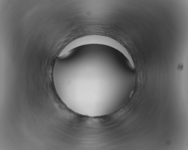 X0000112020332200908241521