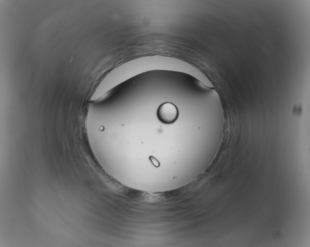 X0000112020333200908241521