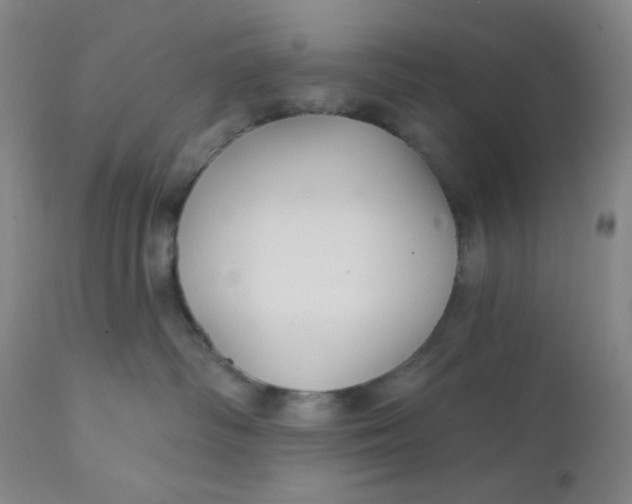 X0000112020334200908241521