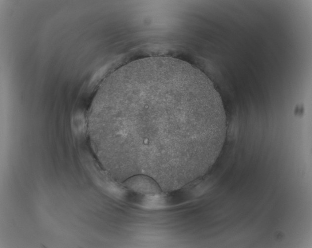 X0000112020335200908241521