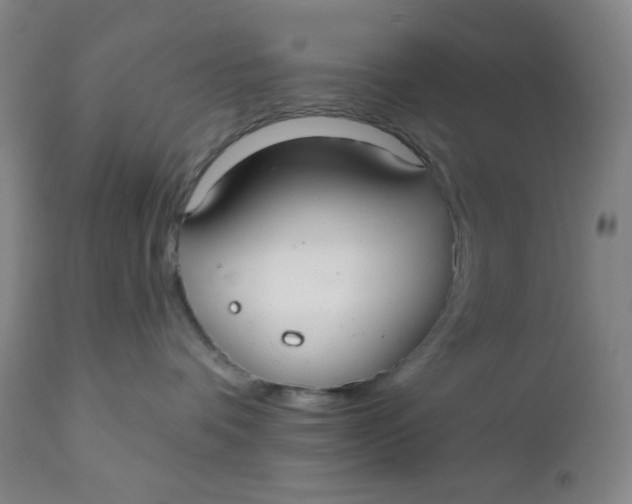 X0000112020336200908241521