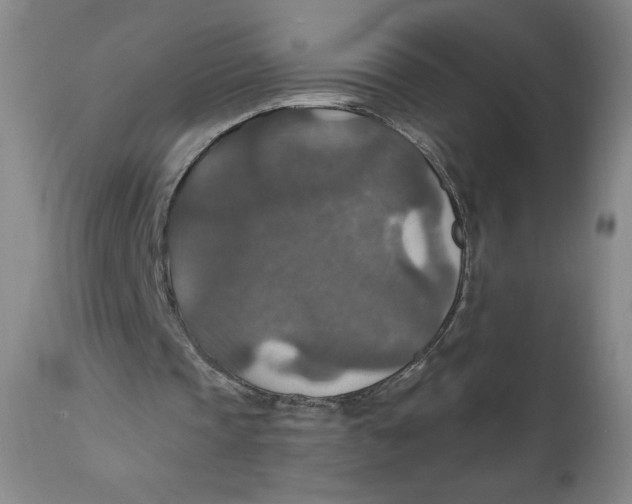 X0000112020337200908241520