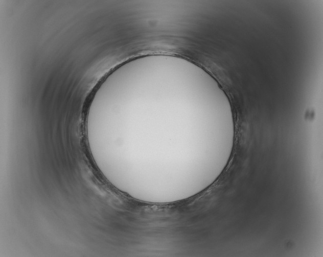 X0000112020338200908241520